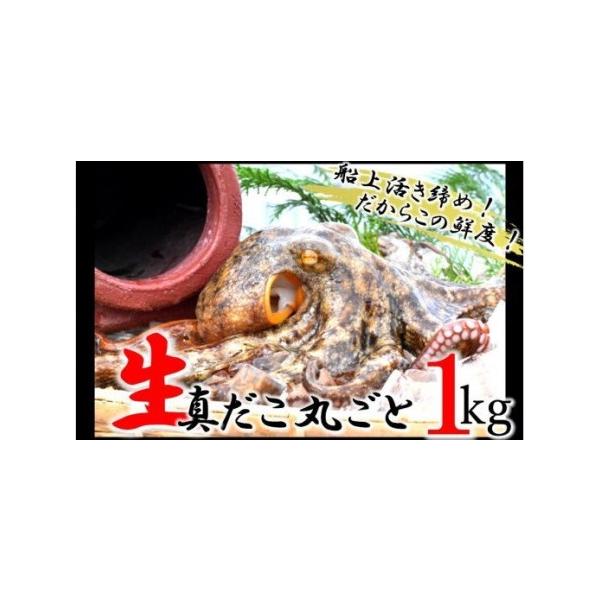 ふるさと納税 船上活き締め！生たこ丸ごと約1kg（約1〜4杯）_1810R 大分県国東市
