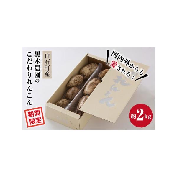 ■ 容量　約2kg　                         　※鮮度を保つため、れんこんは泥付きの状態でお送りします。新鮮なれんこんをお楽しみください。　※気温により、冷蔵でお送りする場合もございます。　※れんこんのサイズはお選び...