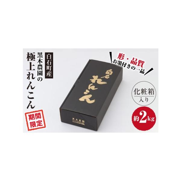 ■ 容量　約2kg　　※鮮度を保つため、れんこんは泥付きの状態でお送りします。新鮮なれんこんをお楽しみください。　※気温により、冷蔵でお送りする場合もございます。　※れんこんのサイズはお選びいただけません。予めご了承ください。■ 配送につい...