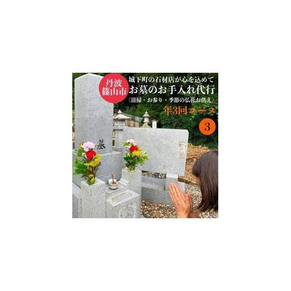 ■ 容量　お墓の清掃　年3回コース（石塔1基霊標1枚簡易な水洗い・墓所の清掃・草引き）・季節のお花のお供え1対・線香・お墓参り・お手入れ前後の写真の送付■ 配送について　順次発送　タイプ：【常温】