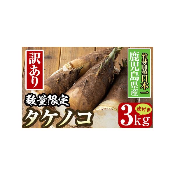 ■ 容量　皮付き約3kg　※皮付き3kgで、おおよそ3〜7個です。自然のものなので、時期によって大きさにばらつきが出ることがあります。　※皮付きタケノコは、1個あたり約300g〜1.2kgのものをお届けします。1箱の中でも、ひとつひとつの重...