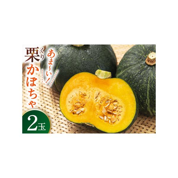 ■ 容量　■内容量　くりかぼちゃ　2玉　(1玉当たり 1.5kg 以上)　※品種：ほっこり133　又は　ブラックのジョー　どちらか又は１種ずつをお届けします。　品種はお選びいただけません。　　2品種は、ほぼ味は変わりません。違いは皮の色！　...