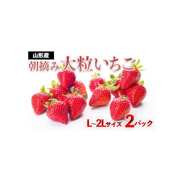 ふるさと納税 真っ赤に育った冬の贅沢!朝摘み大粒いちご☆ FZ23 ふるさと納税 真っ赤に育った冬の贅沢!朝摘み大粒いちご☆ FZ23