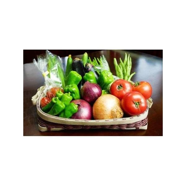 ■ 容量　野菜詰め合わせ　タイプ：【常温】