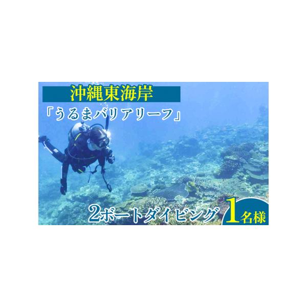 ■ 容量　Cカード保持者向けダイビングプログラム（2ボートダイブ）　1名様　　予約可能期間：ご利用日より1週間前まで　■ 配送について　決済確認から14日前後で発送　　タイプ：【常温】