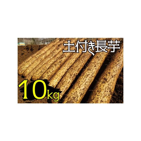 ■ 容量　10kg■ 配送について　寄附納入確認後、2026年4月上旬より発送いたします。　2026年4月上旬以降は、寄附納入確認後、1ヶ月以内に発送いたします。　タイプ：【常温】