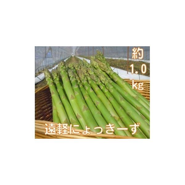 ■ 容量　約１kg■ 配送について　2026年5月中旬から順次発送　　タイプ：【冷蔵】