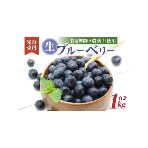 ■ 容量　【内容量】生ブルーベリー1kg（200g×5）もしくは（250g×4）　【原産地】宗像市産　【のし対応】不可　【消費期限】発送日より7日程度　【事業者】JAむなかた農産物直売所「ほたるの里」：福岡県宗像市須恵1丁目1番18号■ 配...