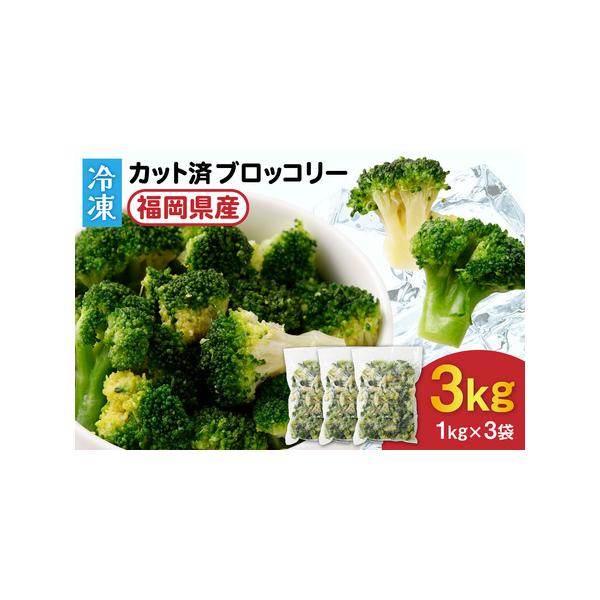 ■ 容量　【内容量】冷凍ブロッコリー3kg(1kg×3袋)　【原産地】福岡県産　【賞味期限】加工日より冷凍で2年　【のし対応】不可　【事業者】】JAむなかた農産物直売所「ほたるの里」：福岡県宗像市須恵1丁目1番18号■ 配送について　【配送...