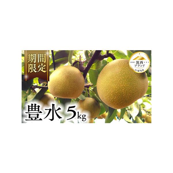 ■ 容量　1箱（8〜14玉）約5kg■ 配送について　8月下旬〜9月中旬にかけてお届け　※天候や生育状況により時期が前後する場合がございます　タイプ：【常温】