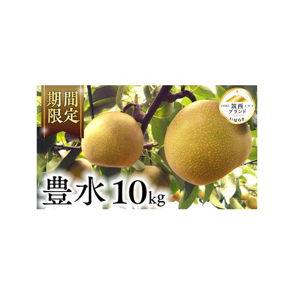 ■ 容量　1箱2段(16〜28玉)　約10kg■ 配送について　8月下旬〜9月中旬にかけてお届け　※天候や生育状況により時期が前後する場合がございます　タイプ：【常温】