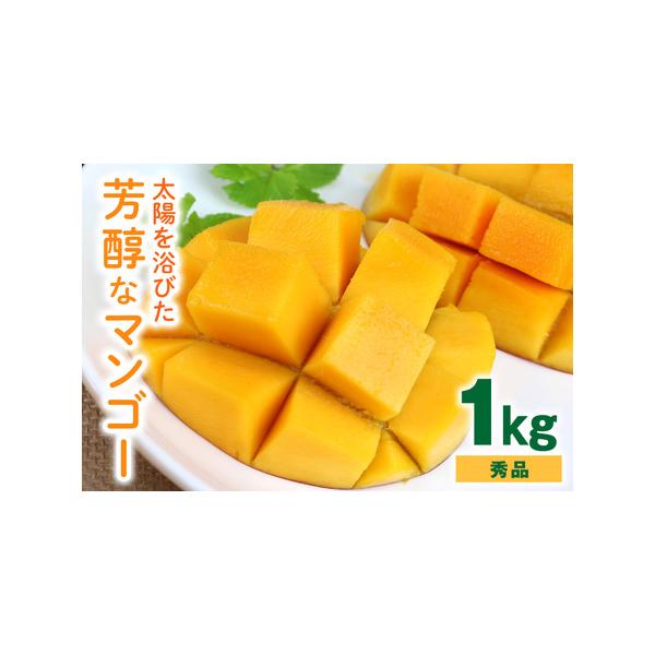 ■ 容量　アップルマンゴー　1kg（2玉〜3玉）秀品/贈答用※玉数の指定はできません。■ 配送について　2026年6月下旬〜7月下旬頃予定　タイプ：【冷蔵】