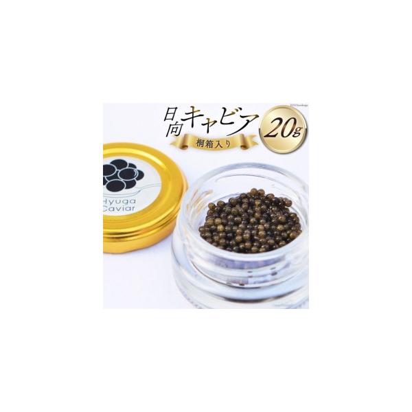 ふるさと納税 キャビア 日向キャビア (Hyuga Caviar) 20g 桐箱入り [ウィズ・クリエイティブ 宮崎県 日向市 452060892] 宮崎県日向市