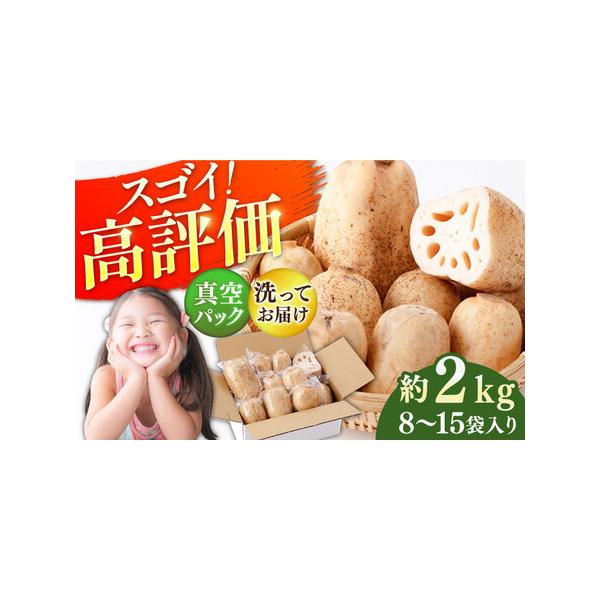 ■ 容量　洗いれんこん（真空）：約2kg（8-15袋入り）　　※お召し上がり前は必ずれんこんを洗いご使用ください。 　※気温により冷蔵でお送りする場合がございます。 　※真空パックにつきまして、出荷の際は細心の注意を払いお取り扱いしておりま...