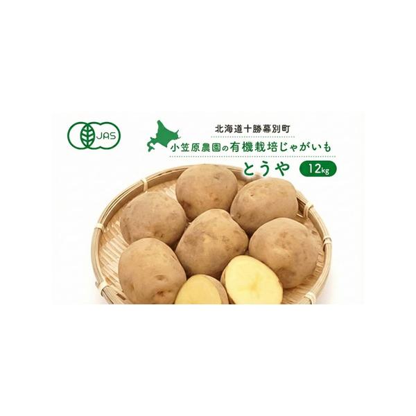 ■ 容量　有機栽培とうや12kg　■ 配送について　2026年9月下旬〜11月下旬　　タイプ：【常温】