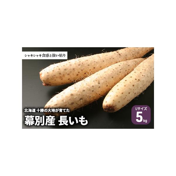 ■ 容量　長いも Lサイズ 5kg　※11月〜12月までは出荷停止期間です。　　タイプ：【冷蔵】
