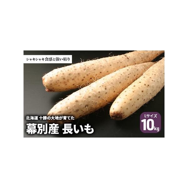 ■ 容量　長いも Lサイズ 10kg　※11月〜12月までは出荷停止期間です。　　タイプ：【冷蔵】
