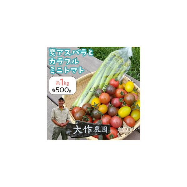 ■ 容量　夏アスパラ約500g(M〜LL混合)、カラフルミニトマト約500g(5種類以上)■ 配送について　2026年7月上旬〜8月下旬頃まで　発送可能時期より順次発送予定　　タイプ：【冷蔵】