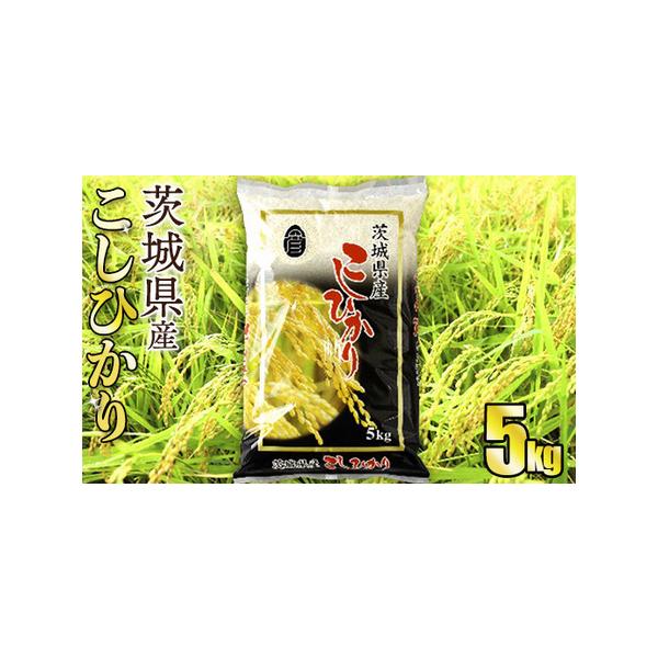 ふるさと納税 令和8年産 茨城コシヒカリ 5kg（5kg×1袋）【お米・コシヒカリ・米・5kg】 茨城県守谷市