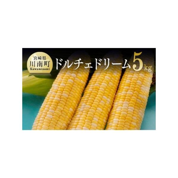 ■ 容量　スイートコーン(ドルチェドリーム)5kg以上　※目安：11〜15本■ 配送について　ご入金確認後、令和8(2026)年5月下旬から7月上旬にかけご注文順に順次発送　※天候などの影響により発送開始が遅れる場合がありますこと、ご了承く...
