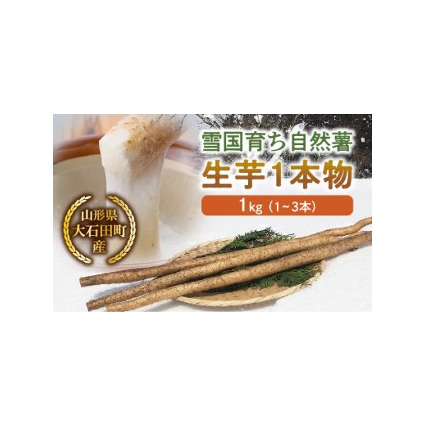 ■ 容量　雪国育ち自然薯 生芋1本物 1kg（1〜3本入）■ 配送について　2024年11月上旬より順次発送　※6月〜9月は冷蔵便でのお届けとなります　タイプ：【常温】【冷蔵】