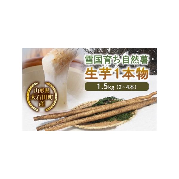 ■ 容量　雪国育ち自然薯 生芋1本物 1.5kg（2〜4本入）■ 配送について　2024年11月上旬より順次発送　※6月〜9月は冷蔵便でのお届けとなります　タイプ：【常温】【冷蔵】