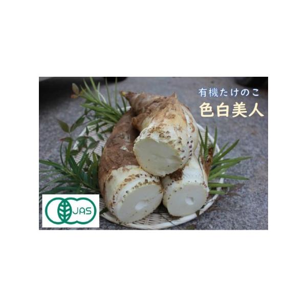 ■ 容量　【限定50セット】　日本農林規格等に関する法律（ＪＡＳ法）の認証取得　石川県認証番号63　有機たけのこ「色白美人」3.5kg　※あく抜き用米ぬかを同梱します。■ 配送について　お届け期間(予定)：令和8年4月中旬頃〜4月末頃で、順...