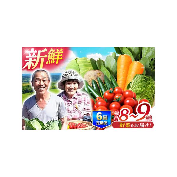 ふるさと納税 諫早市 2022年10月発送開始『定期便』諫早産野菜の詰め合わせ(8〜9品目)全3回 EnsJgdp5T7, 野菜 - www.seruun.mn ふるさと納税 諫早市 2022年10月発送開始『定期便』諫早産野菜の詰め合わせ(8〜9品目)全3回 EnsJgdp5T7, 野菜 - www.seruun.mn