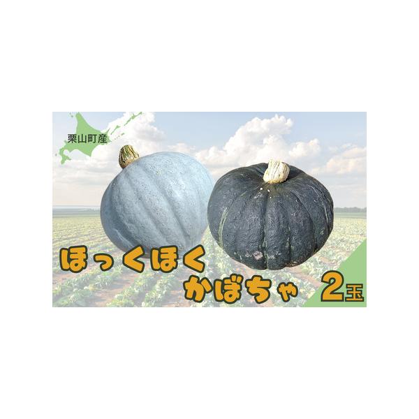 ■ 容量　かぼちゃ　2玉（1玉1.5kg程度）　　※基本的には緑皮と白皮をそれぞれを入れる予定でおりますが、収穫状況により変更になる可能性がございます。　※気象条件等の影響により重量は変動することがあります。　　【消費期限】　カット後は冷蔵...