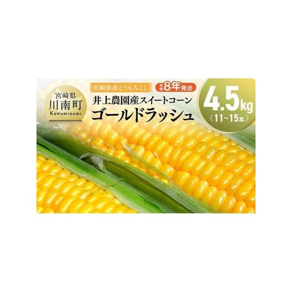 ■ 容量　スイートコーン4.5kg×1箱　※内容量の目安：11本〜15本程度(３L〜Lサイズ)■ 配送について　ご入金確認後、2026年5月上旬〜6月中旬にかけて順次発送　※天候などの影響により発送開始が遅れる場合がありますこと、ご了承くだ...