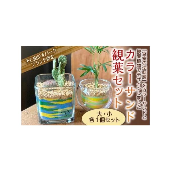 ■ 容量　カラーサンド観葉セット　大サイズ・小サイズ 各1個　・大サイズ　高さ200ｍｍ〜300ｍｍ　横100ｍｍ〜300ｍｍ　・小サイズ　高さ100ｍｍ〜300ｍｍ　横100ｍｍ〜200ｍｍ　※観葉植物の種類によって大きさは異なります。　...