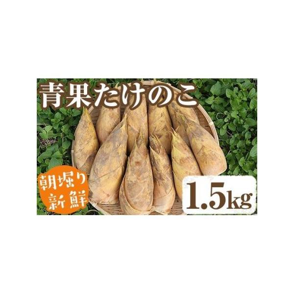 ■ 容量　青果たけのこ：1.5kg　※大きさには多少のバラつきがございます。■ 配送について　2026年2月下旬以降順次発送予定　※天候と生育状況により発送が前後する場合があります。　タイプ：【冷蔵】