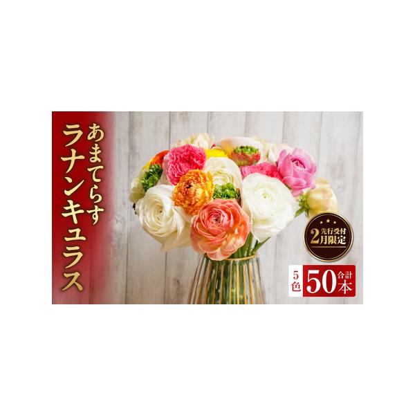 ■ 容量　ラナンキュラス生花　5色　50本■ 配送について　ご入金確認後、2026年1月下旬より順次発送予定　タイプ：【冷蔵】