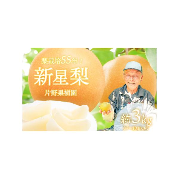 ■ 容量　新星梨3kg（7〜10玉入り）　※こちらは新星梨3kgの返礼品となっております。■ 配送について　2026年09月上旬発送、受付順に順次発送　※天候の影響で収穫時期が前後する場合がございます。予めご了承ください。　※オンライン決済...