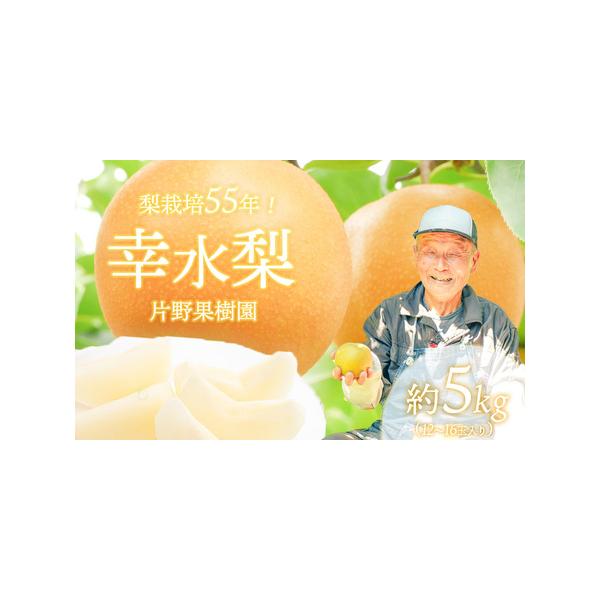 ■ 容量　幸水梨5kg（12〜16玉入り）■ 配送について　2026年08月上旬発送、受付順に順次発送　※天候の影響で収穫時期が前後する場合がございます。予めご了承ください。　※オンライン決済限定となります。　タイプ：【常温】