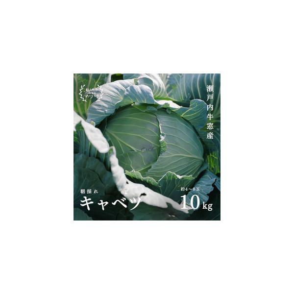 ■ 容量　瀬戸内牛窓産 キャベツ 約10kg（4〜8玉）　※お届け日の指定、時間帯の指定は申し訳ないですが、お受けできません。　※年末と1月の出荷対応はしていません。　※玉数のご指定はできません。　■ 配送について　2025年12月中旬〜2...