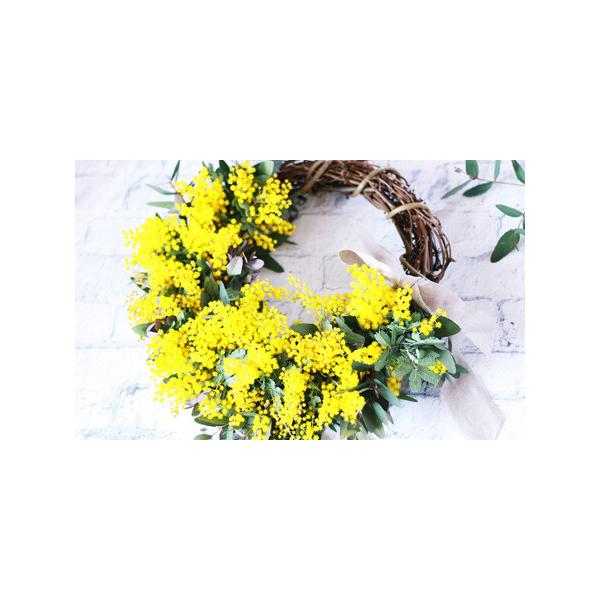 ■ 容量　直径約33cm■ 配送について　2026年2月下旬〜3月下旬まで順次発送予定　※天候や発送状況により多少前後する場合がございますので、予めご了承ください。　タイプ：【常温】