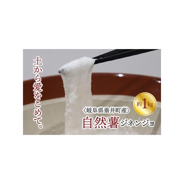 ■ 容量　ジネンジョ（1本〜2本）約1kg  × １セット　※化粧箱に入っています。■ 配送について　寄附入金確認日から1ヶ月以内に発送予定です。　タイプ：【常温】