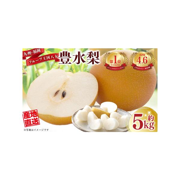 ■ 容量　梨（豊水）約5kg　　【賞味期限】　生鮮食品のため到着後なるべく早くお召し上がりください。■ 配送について　2026年8月中旬〜9月頃にかけて発送を予定しております。　※収穫状況により多少前後する場合がございます。　※8月29日以...