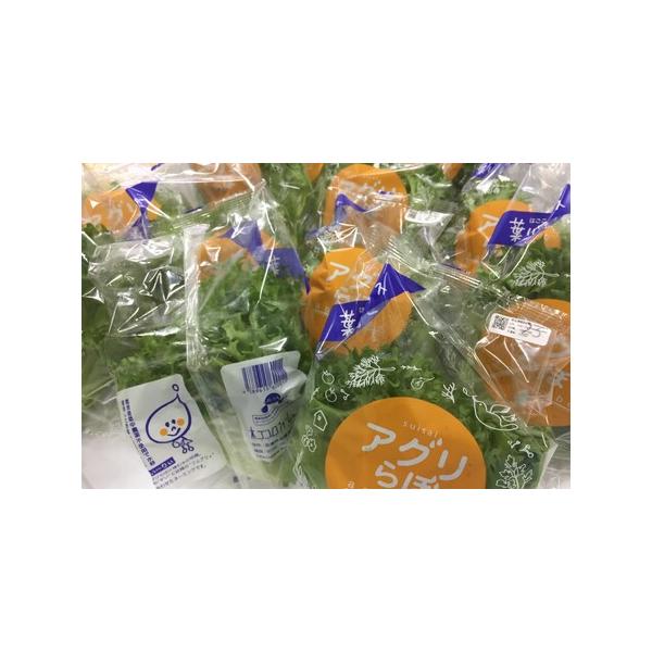 ■ 容量　フリルレタス　12袋（1袋：100g）　《兵庫県加東市産》　　タイプ：【冷蔵】