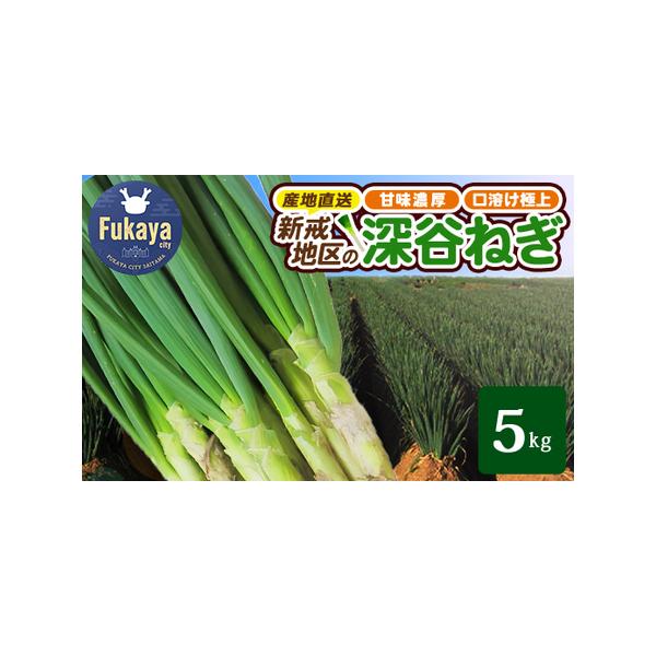 ■ 容量　深谷ねぎ（土付き）5kg■ 配送について　2025年12月〜2026年2月中旬　タイプ：【常温】
