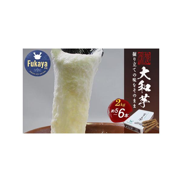 ■ 容量　土付き大和芋AA品2kg（5〜6本）　タイプ：【冷蔵】