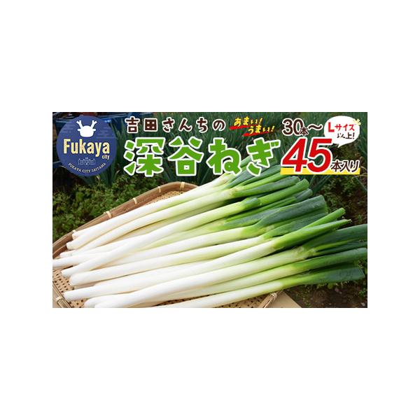 ■ 容量　深谷ねぎL以上：45本〜30本入り　　■消費期限　3日　※生鮮品のため、早めにお召し上がりください。■ 配送について　※生育状況により多少前後する場合がございます。　タイプ：【常温】