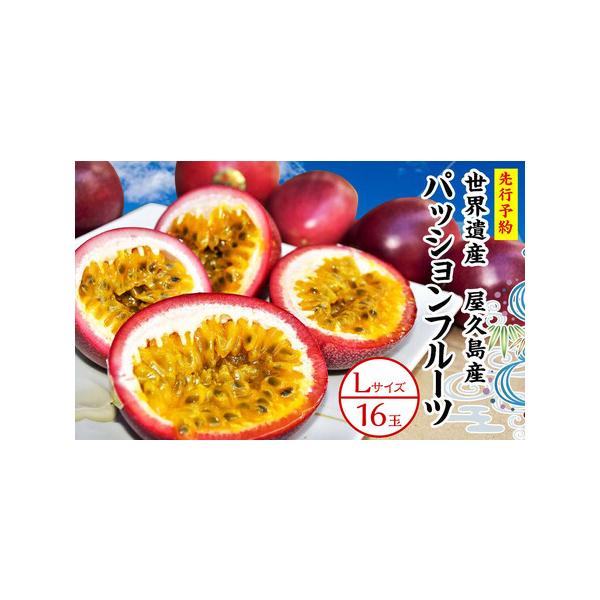■ 容量　Lサイズ／16玉　【賞味期限】　到着から１週間を目途に、しわが出る頃が食べごろです。■ 配送について　2026年6月20日〜2026年7月末頃の間で順次発送　【受付期間】　2025年10月1日〜2026年7月20日　タイプ：【常温】
