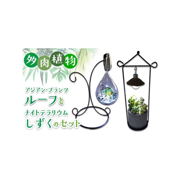 ■ 容量　ルーフのイーゼルスタンドにセットした、涼しげな鉢に可愛らしい多肉が植えられた多肉植物アジアン・プランツルーフが1個と多肉を植えたしずくの形のガラスにクリップライトをセットしたテラリウム1個　■ 配送について　2025年7月中旬頃よ...