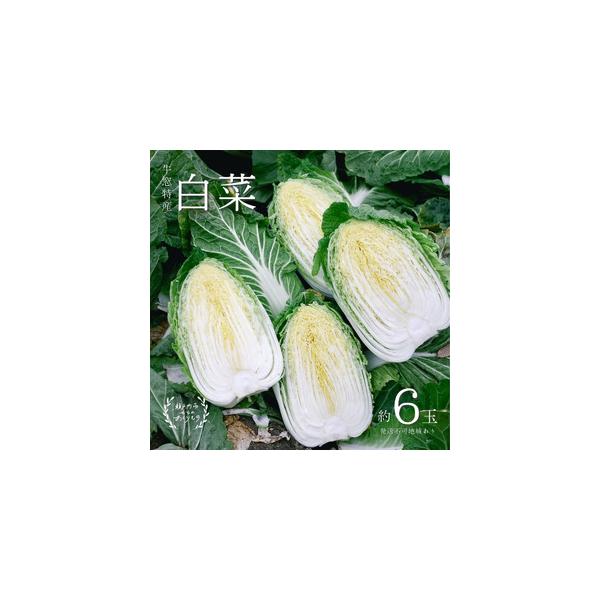 ■ 容量　瀬戸内牛窓産 白菜 約15kg（5〜6玉）　※お届け日の指定、時間帯の指定は申し訳ないですが、お受けできません。　※年末年始の出荷対応はしていません。　※玉数のご指定はできません。　■ 配送について　2025年12月中旬〜2026...