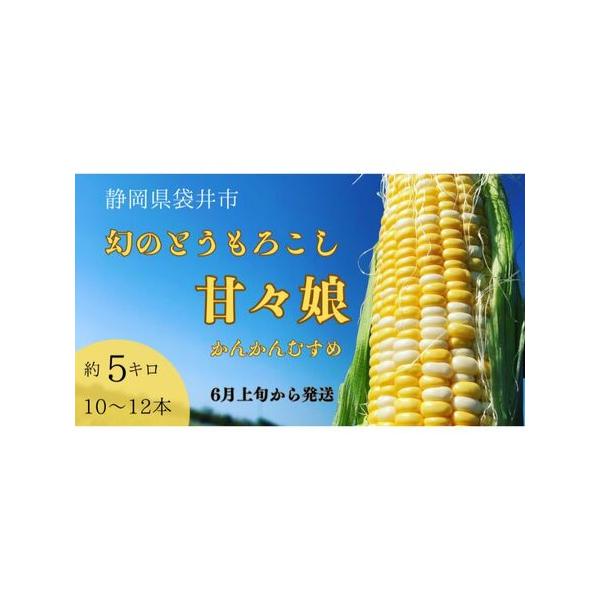 ■ 容量　甘々娘（とうもろこし）10〜12本入り 約5キロ 袋井産　※2026年6月上旬〜収穫でき次第順次発送　■ 配送について　2026年6月上旬〜中下旬　　タイプ：【冷蔵】