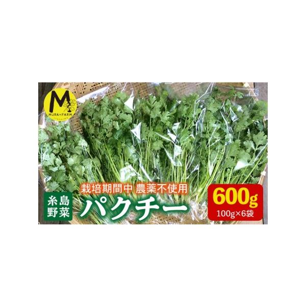 ■ 容量　糸島産パクチー 100g×6袋■ 配送について　通常2週間以内に発送。　　※収穫、お申し込み状況により、お届け時期が前後する場合がございます。予めご了承ください。　タイプ：【冷蔵】