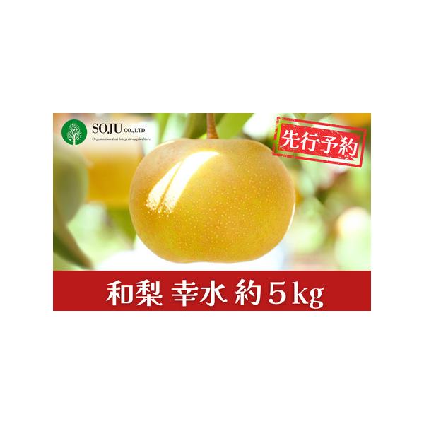 ■ 容量　9~14個（合計約5kg）　※生育状況により、個数が前後する場合がございます。■ 配送について　8月中旬〜9月中旬頃　※天候や生育状況により、発送開始・終了時期が前後する場合がございます。　※お申込み順に発送いたしますので、配達日...