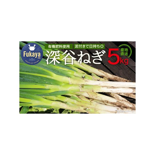 ■ 容量　深谷ねぎ5kg（泥付き）■ 配送について　※生育状況により多少前後する場合がございます。　タイプ：【常温】